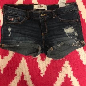 Hollister Shorts - Size 7